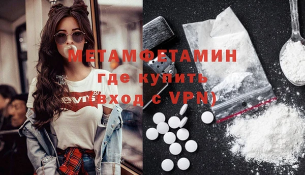 ГАЛЛЮЦИНОГЕННЫЕ ГРИБЫ Вяземский