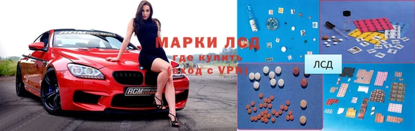 ГАЛЛЮЦИНОГЕННЫЕ ГРИБЫ Вяземский