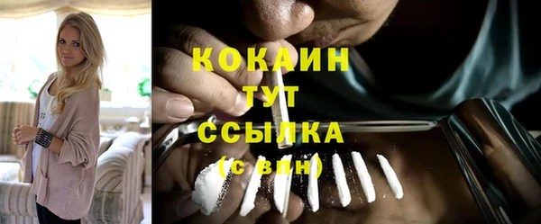 ГАЛЛЮЦИНОГЕННЫЕ ГРИБЫ Вяземский