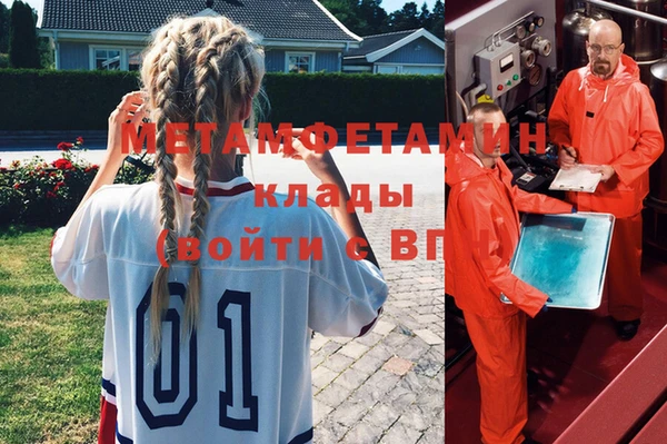 ГАЛЛЮЦИНОГЕННЫЕ ГРИБЫ Вяземский
