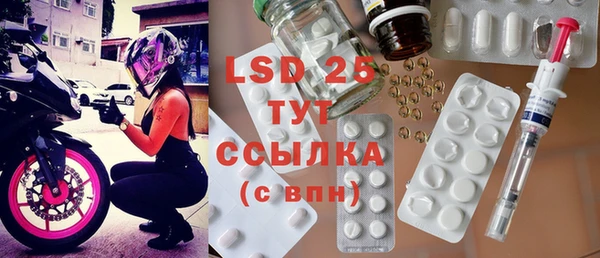 ГАЛЛЮЦИНОГЕННЫЕ ГРИБЫ Вяземский