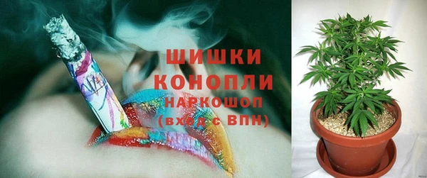 прущие грибы Волосово