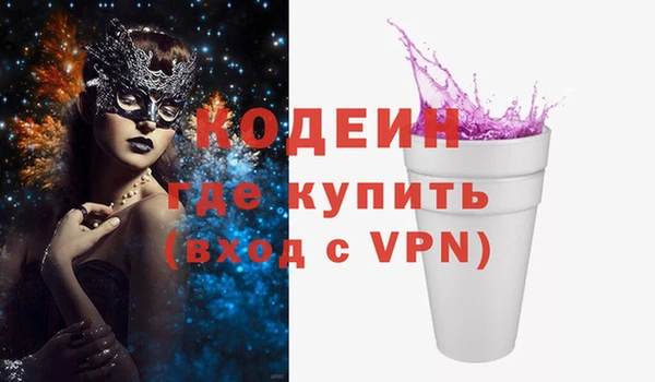 ГАЛЛЮЦИНОГЕННЫЕ ГРИБЫ Вяземский