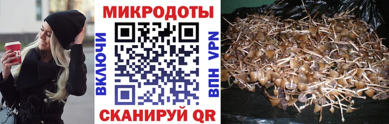 Псилоцибиновые грибы прущие грибы  Купить  Меленки 